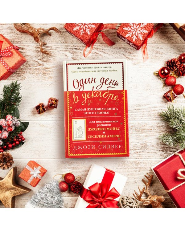 Один день в декабре