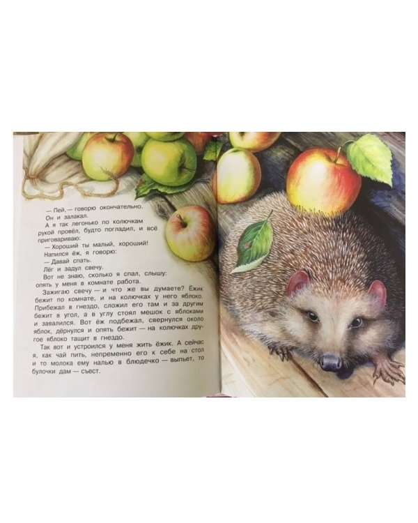 Большая книга про зверей