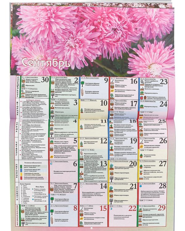 Календарь дачника и цветовода на каждый день 2019 год