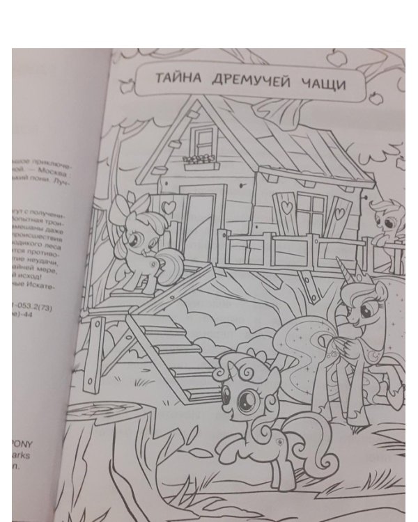 Мой маленький пони. Тайны Понивилля. Большое приключение