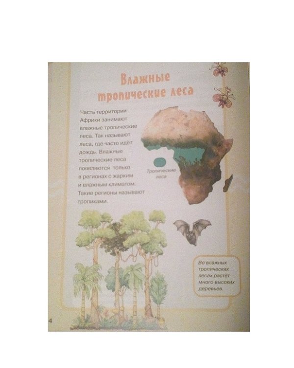 Африка (книга + игра "Географическое лото")