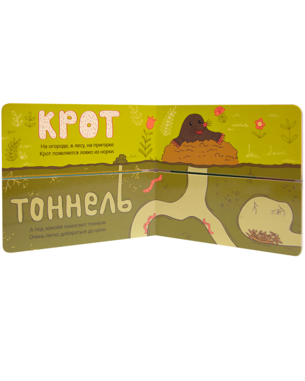 Где чей домик?