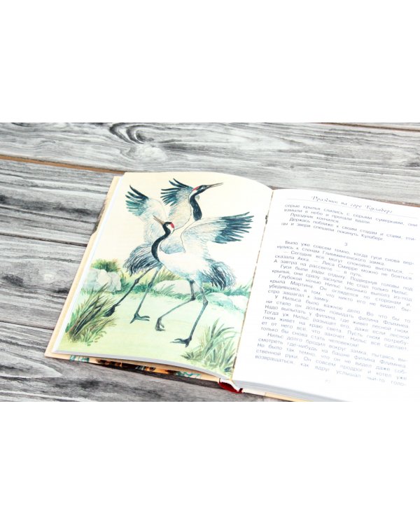 Чудесное путешествие Нильса с дикими гусями