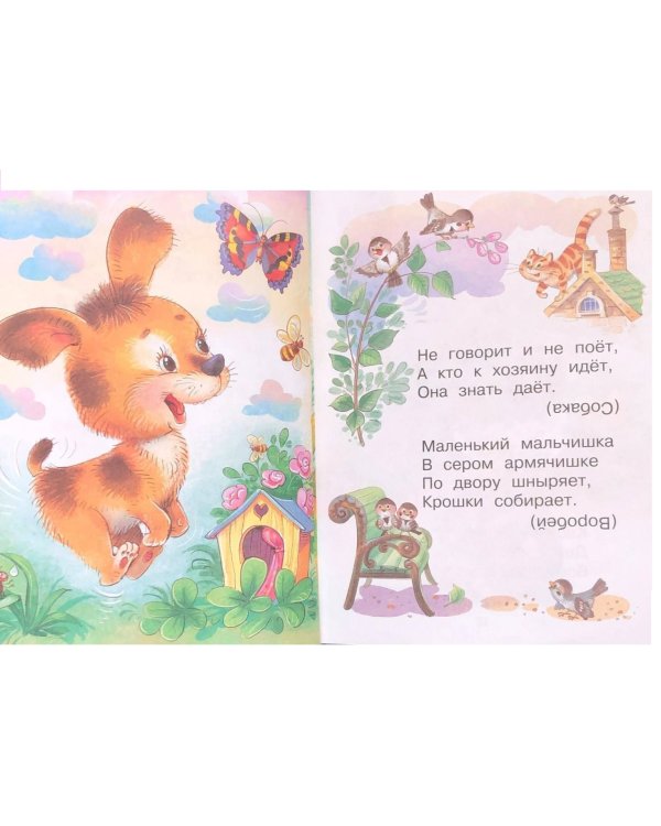 Загадки