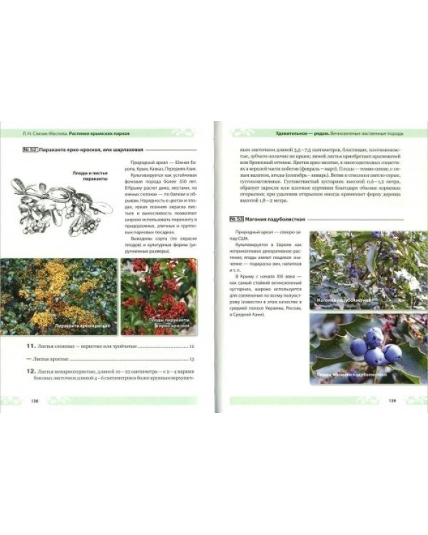Дополнительное изображение книги «Растения крымских парков. Четыре времени года»