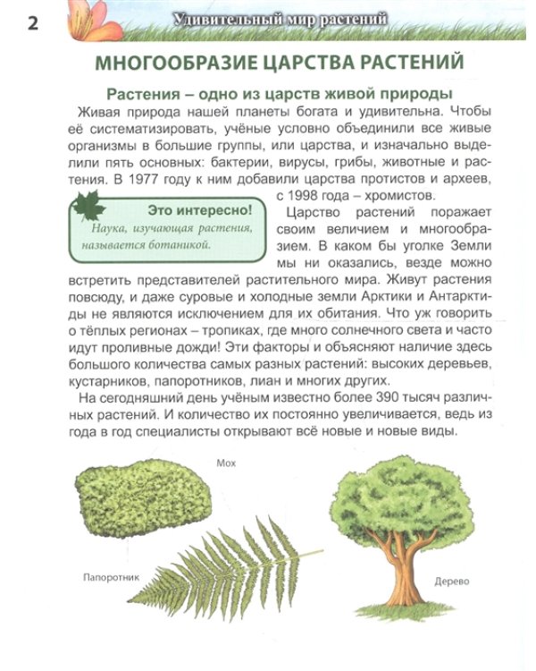 Энциклопедия. Удивительный мир растений