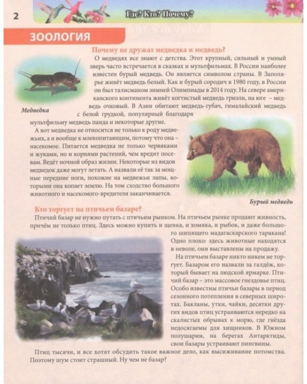 Где? Кто? Почему?