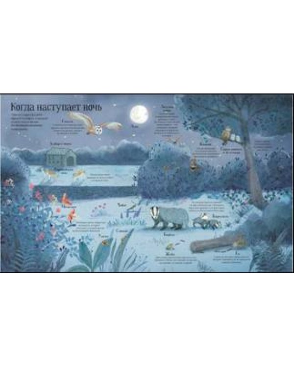 Встречи с дикой природой