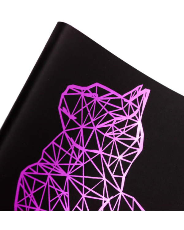 Дополнительное изображение книги «Книга для записей "Starlight. Кошка", В6, 80 листов, линия»