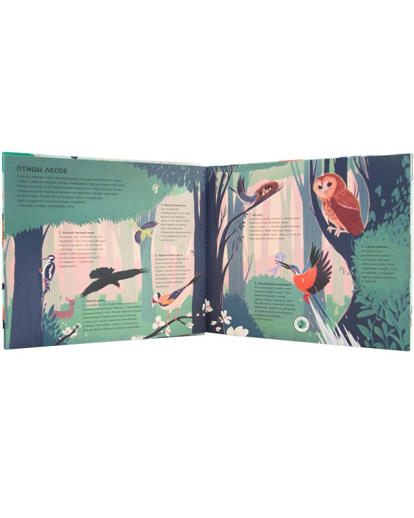 Звуки природы. Птицы