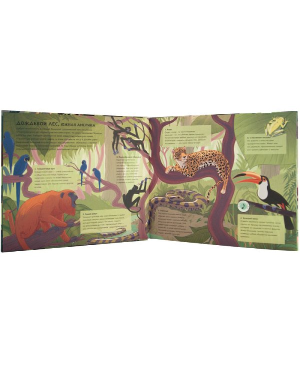 Звуки природы.Звери