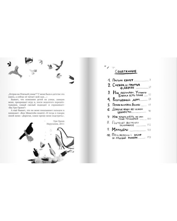 Остров на Птичьей улице