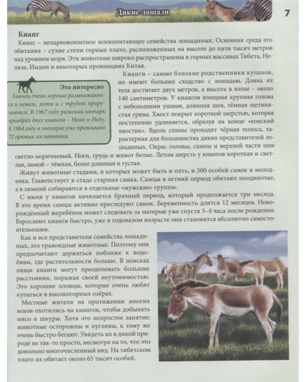 Хочу все знать. Лошади