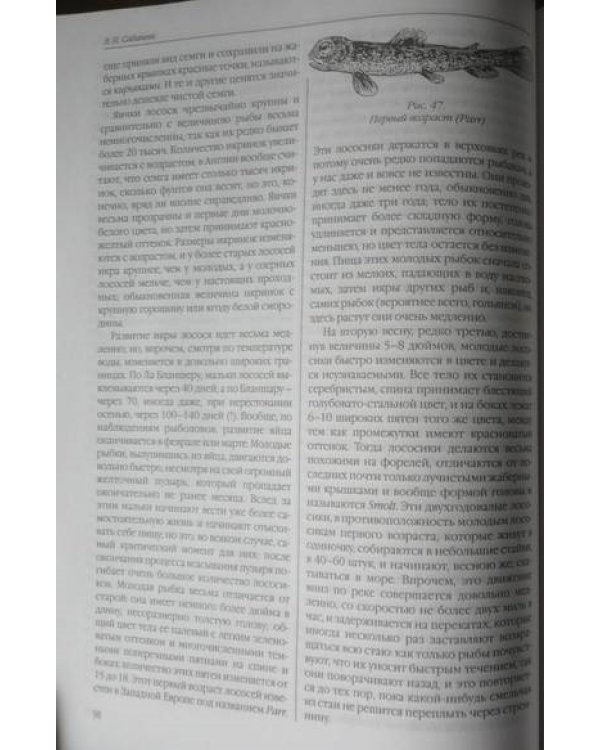 Рыбы России