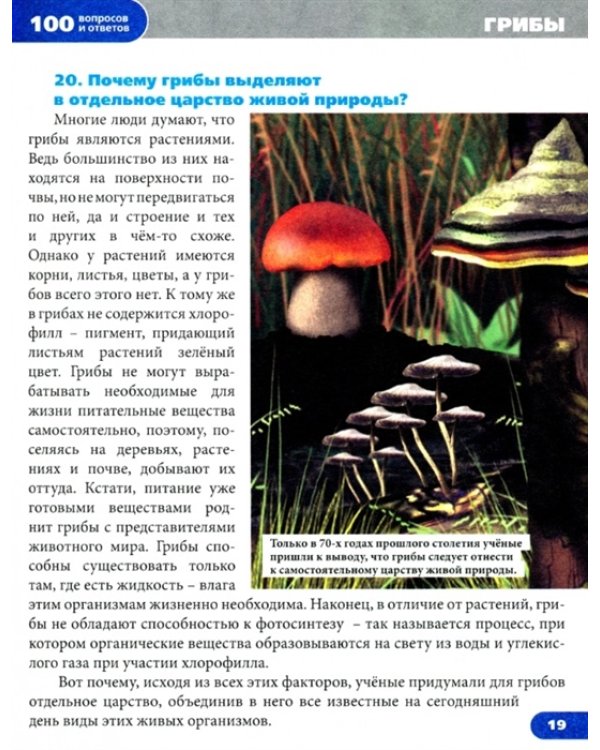 Живая природа