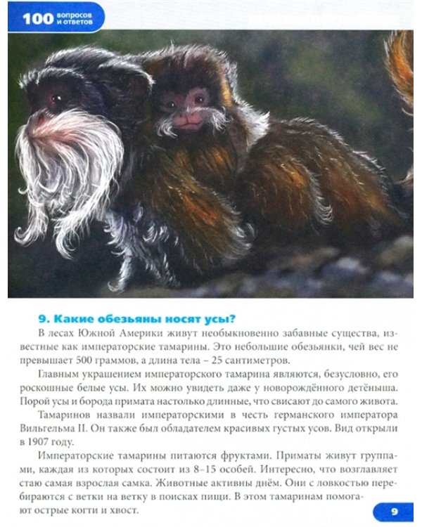 Удивительные животные