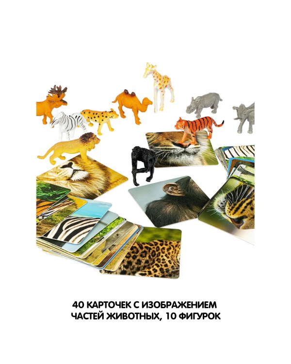 Настольная игра. Усатые и полосатые