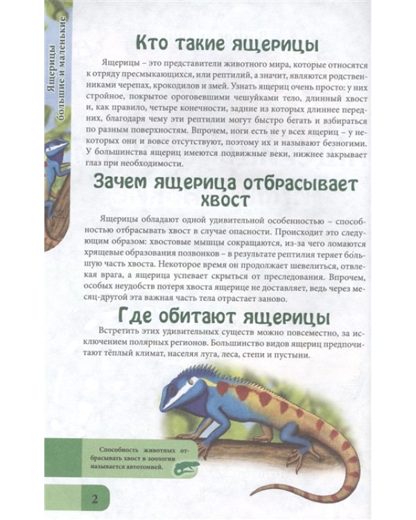 Энциклопедия. Ящерицы большие и маленькие
