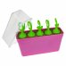 Набор кукол. Blume. Baby Pop, серия 1, 5 росточков-сюрпризов