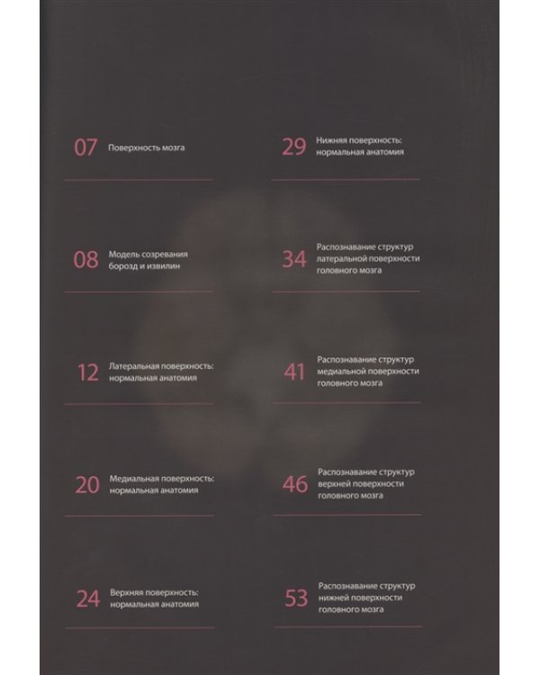 Атлас нормальной анатомии поверхности головного мозга при МР-томографии