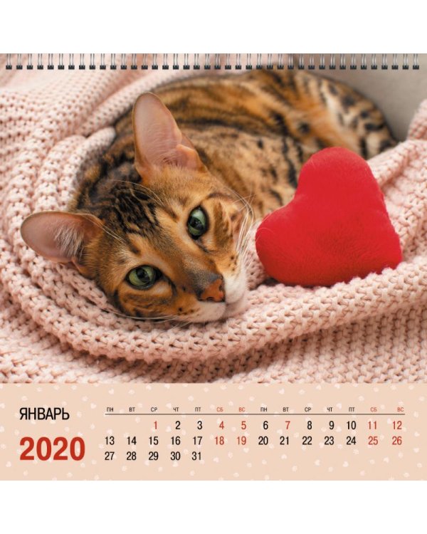 Календарь на 2022 год Домашние любимцы 4, квадратный, средний