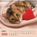 Календарь на 2022 год Домашние любимцы 4, квадратный, средний