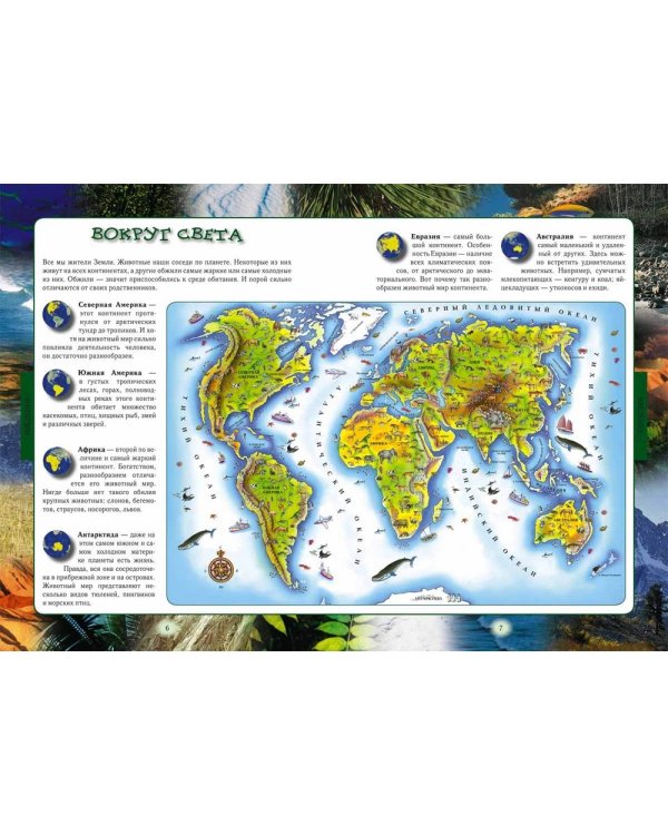 Животный мир нашей планеты