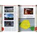 Франция. Путеводитель (+ DVD)