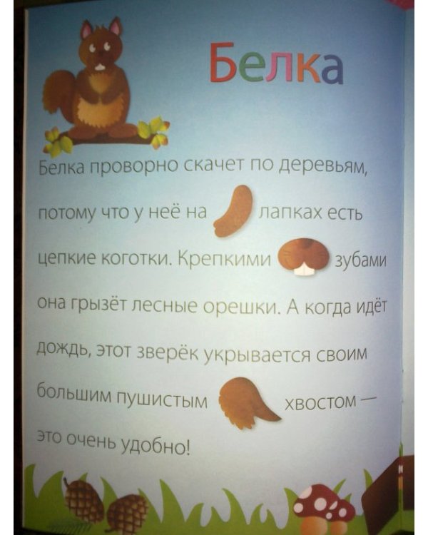 Дополнительное изображение книги «Лесные обитатели. Наклейки-конструктор»
