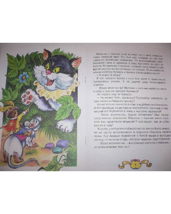 Дополнительное изображение книги «Мальчик с пальчик»