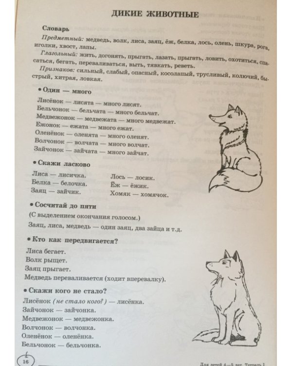 Домашняя логопедическая тетрадь №1. Учим слова и предложения. 4-5 лет