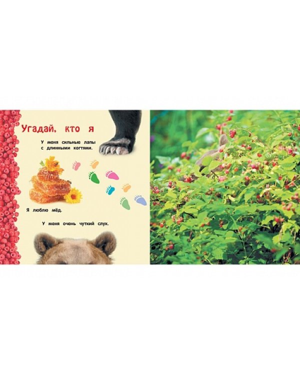 Дополнительное изображение книги «Дикие животные»