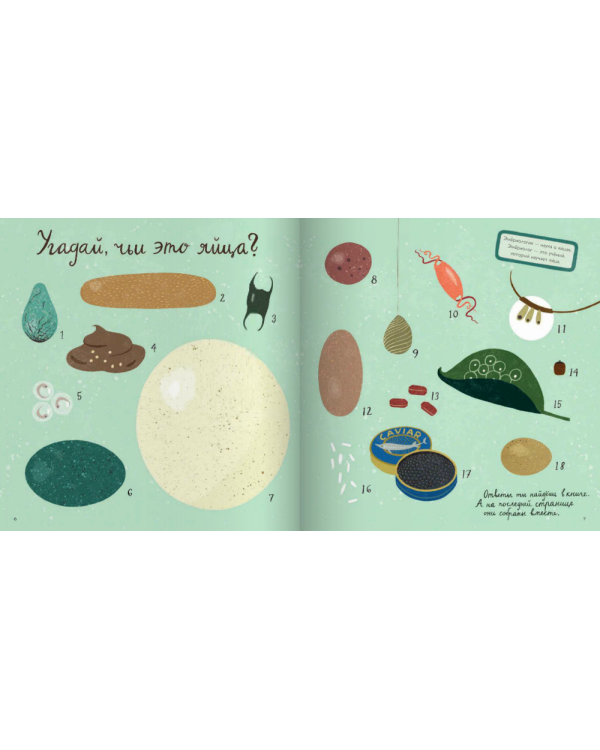 Крутые факты о яйцах