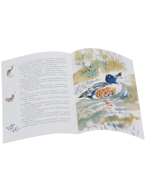 Лесные сказки.Комплект