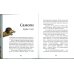 Дополнительное изображение книги «Библия для детей»