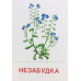 Раздаточные карточки &quot;Цветы полевые&quot; (16 карточек)