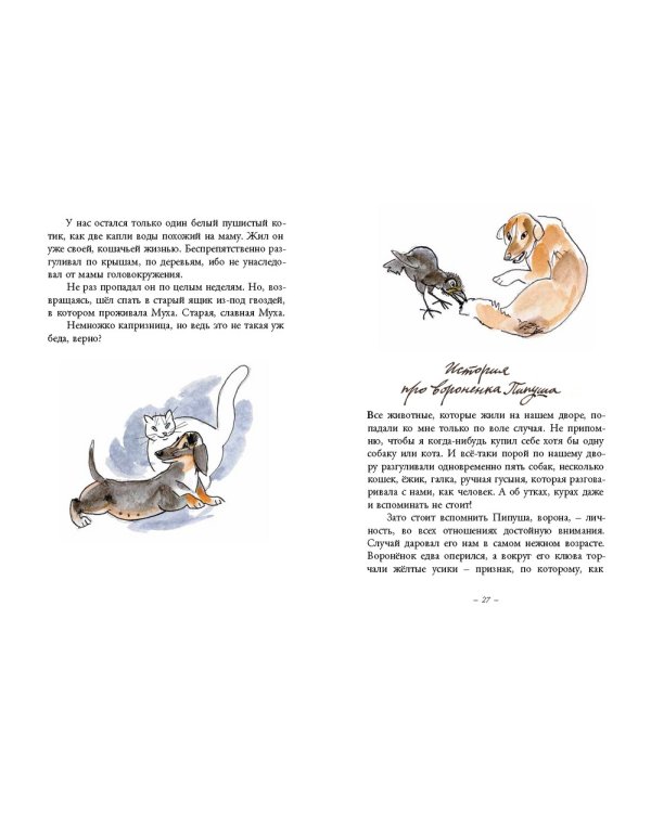 Дополнительное изображение книги «Муха с капризами»