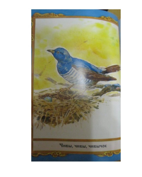 Русские народные сказки-4. Волк