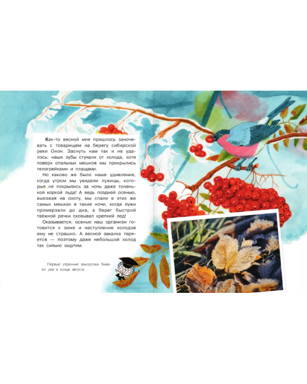 Почему осенью листопад?