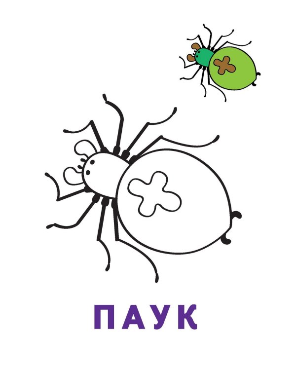 Раскраска-читалка. Букашки