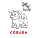 Дополнительное изображение книги «Раскраска-читалка. Домашние любимцы»