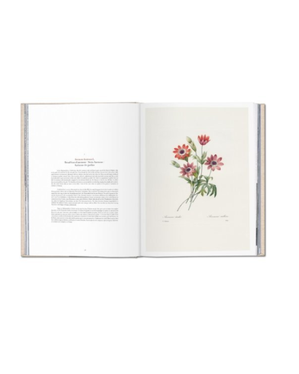 Redoute. Selection of the Most Beautiful Flowers