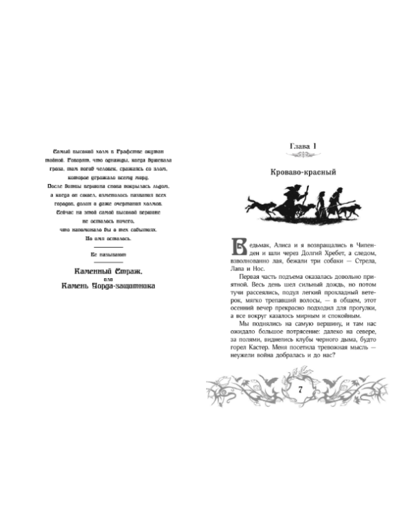 Кошмар Ведьмака. Книга 7