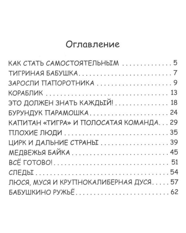 Дополнительное изображение книги «Амурчик и его таёжные друзья»