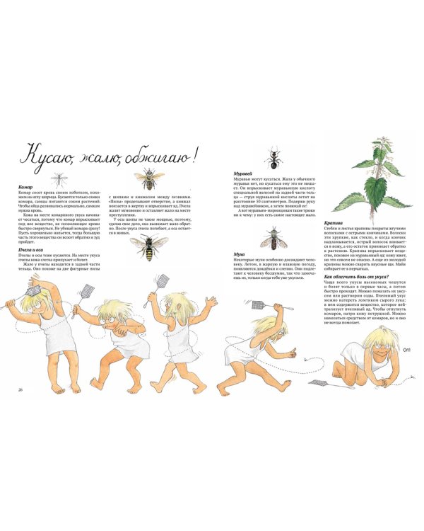Круглый год