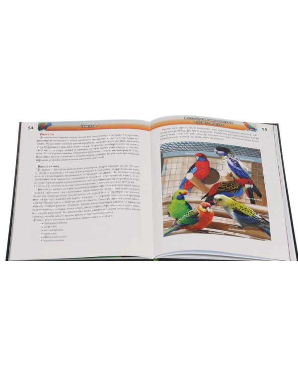 Энциклопедия. Попугаи