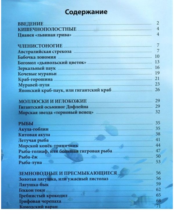 Удивительные животные