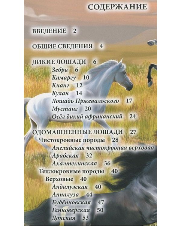 Хочу знать. Лошади