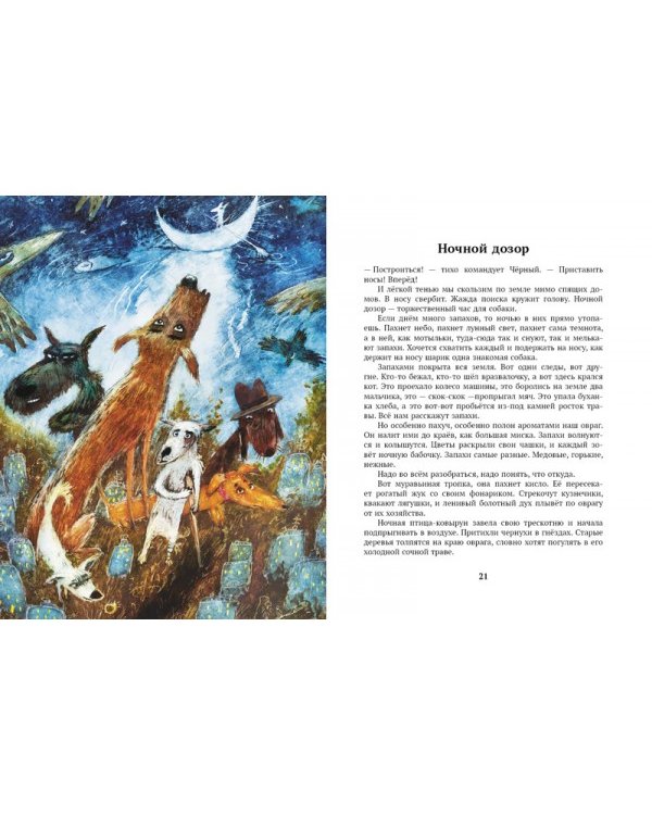 Дополнительное изображение книги «До свидания, овраг!»