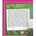 Детская энциклопедия в вопросах и ответах Энциклопедия для девочек в вопросах и ответах